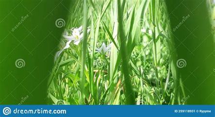 珠海网游推广员怎么做_手游厂商top50:共创甜蜜游戏事业,享受成功滋味