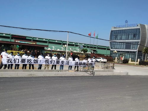 裸奔 造车 董小姐的珠海银隆欠款12亿