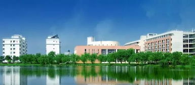 广东这三所高职院校为何多次受国家点名