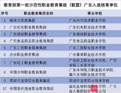 广东省第二批示范性职业教育集团正在公示,这5家入选了