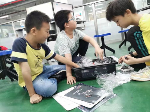 以劳育人,五育并举 珠海理工开展第二届 rolling the robot玩转机器人公益培训