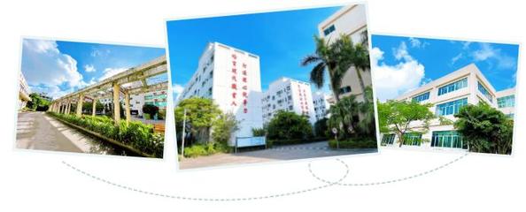 今年上中职学校,3年后职业本科扩招14倍,珠海市创沃中等职业学校职教高考班为你开辟全日制大学通道