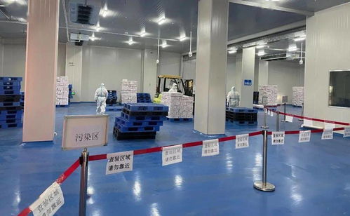 筑牢冷链食品安全防线 珠海西域码头开展进口冷链预防性全面消毒工作