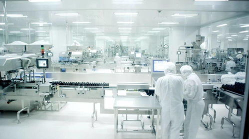 重磅推出 珠海 网红打卡地 板障山隧道 野狸岛 日月贝 大剧院 汤臣倍健 横琴芒洲湿地公园纯玩一天