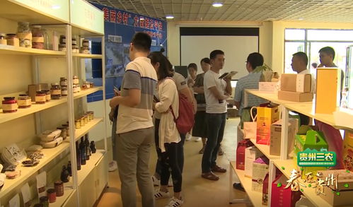 数说贵州 数字乡村的贵州实践，智慧生活织就智富梦